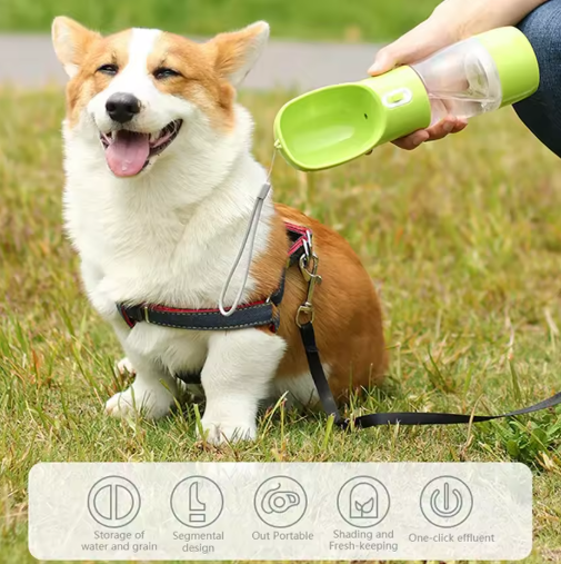 Portable Pet Water Bowls and Feeders